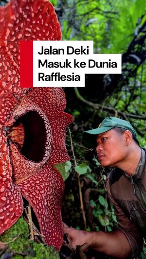 Video Sosok Deki: Dulunya Guru Olahraga, Kini Cintai Rafflesia