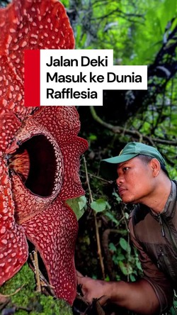 Video Sosok Deki: Dulunya Guru Olahraga, Kini Cintai Rafflesia