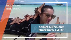 Main dan Berfoto dengan Bintang Laut di Pulau Pasir, Belitung