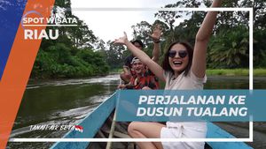 Menyusuri Sungai Gangsal Menuju Dusun Tualang di Riau  