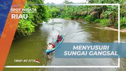 Menyelusuri Keindahan Sungai Gangsal Menuju Dusun Tualang di Riau  