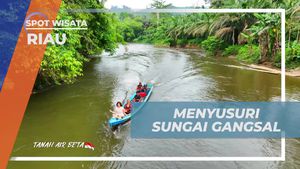 Menyelusuri Keindahan Sungai Gangsal Menuju Dusun Tualang di Riau  