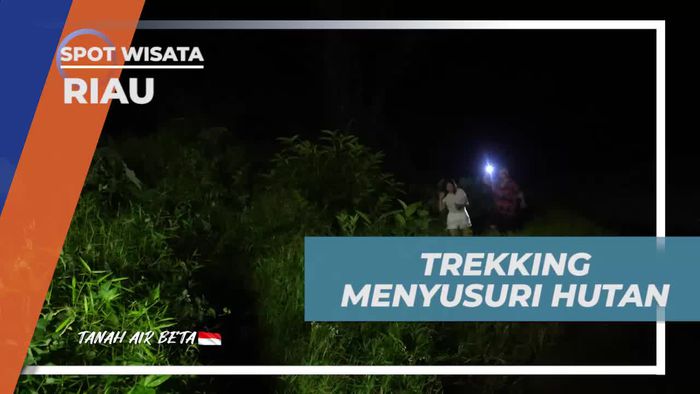 Menapaki Hutan Malam Hari Menuju Dusun Tualang di Riau  