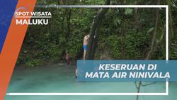 Merasakan Keseruan di Mata Air Ninivala, Maluku  