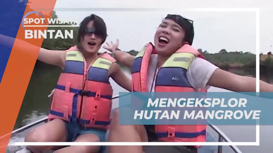 Menyusuri Hutan Mangrove Bintan dengan Speed Boat, Keindahan Alam yang Asri  