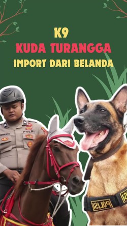 Video Mengenal Lebih Dekat K9 dan Turangga Ditpolsatwa