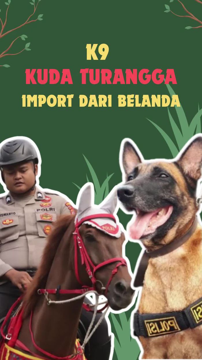 Video Mengenal Lebih Dekat K9 dan Turangga Ditpolsatwa