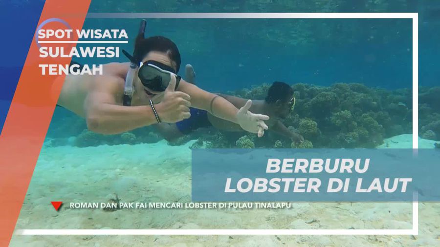 Berburu Lobster di Laut Pulau Tinalapu, Sulawesi Tengah  