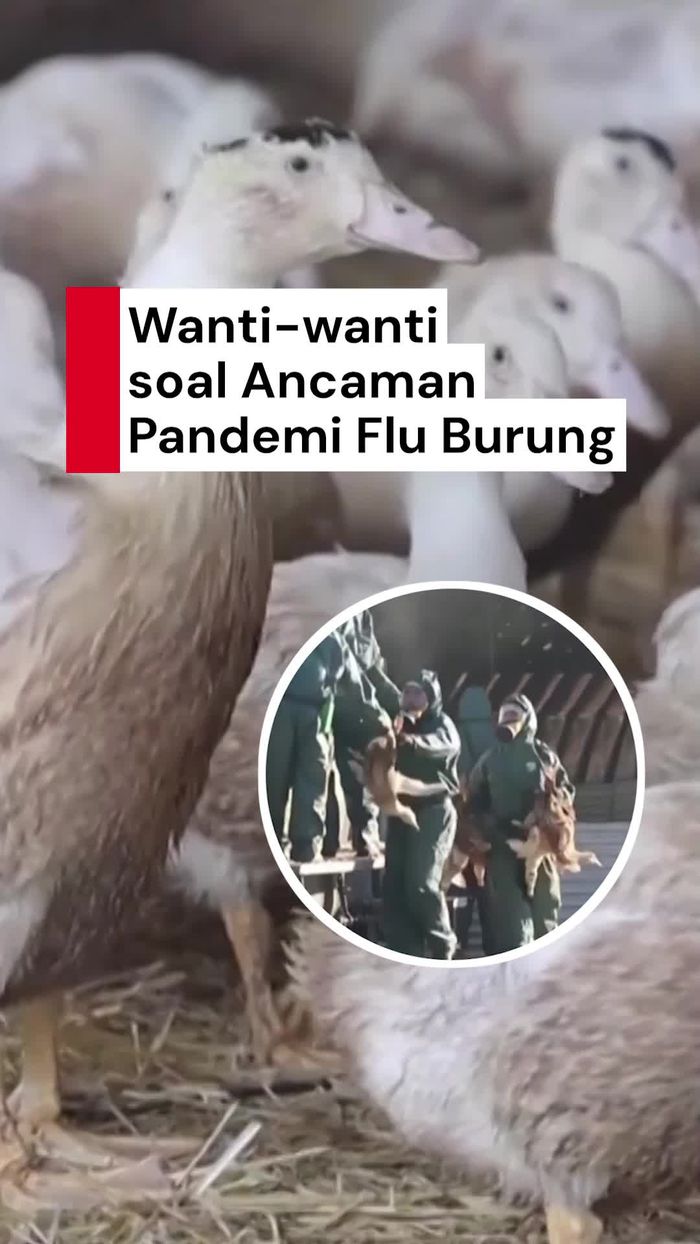 Video Pakar: Flu Burung Picu Pandemi yang Lebih Parah Dibanding Covid-19