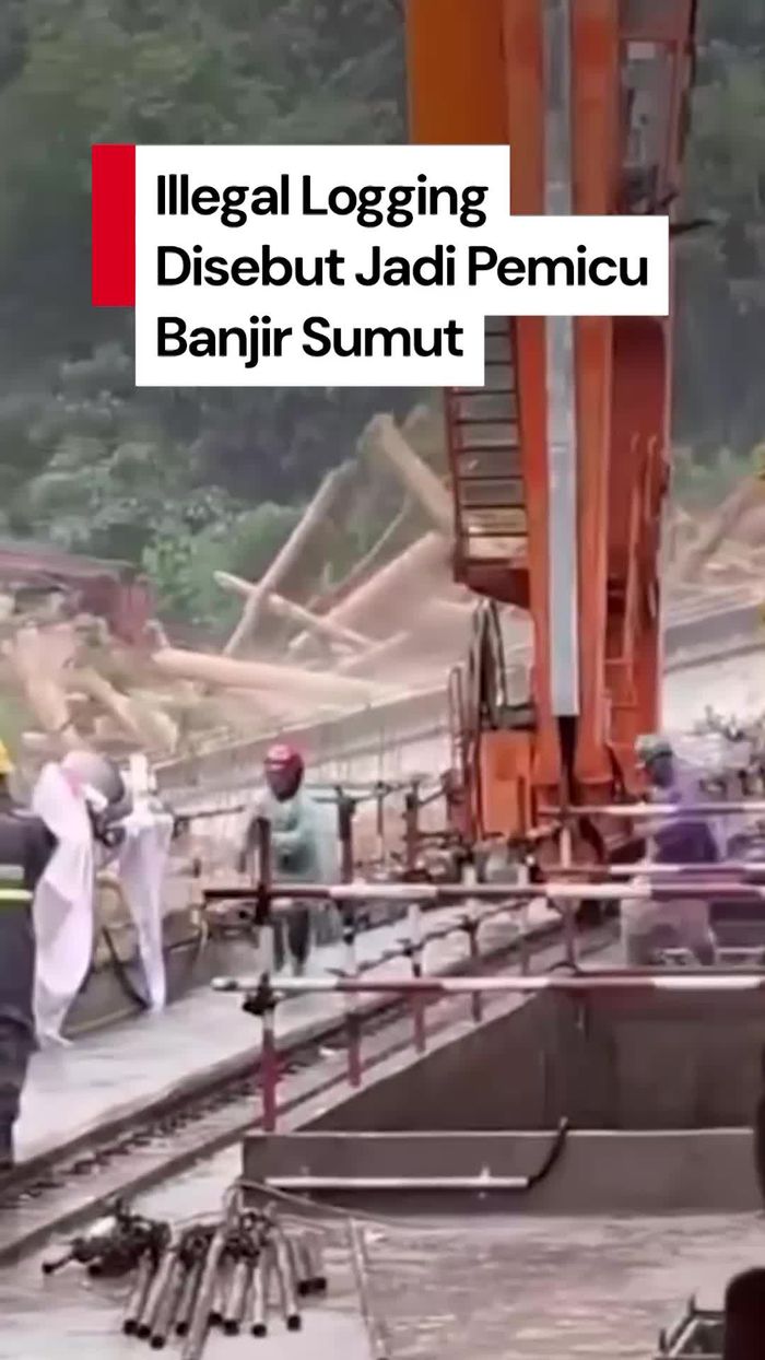 Video: Sumut Dilanda Banjir Parah, Walhi Soroti Maraknya Illegal Logging