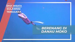 Berenang dan Menyelami Kejernihan Air Danau Moko di Wakatobi, Sulawesi Tenggara 