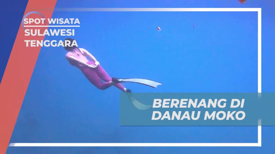 Berenang dan Menyelami Kejernihan Air Danau Moko di Wakatobi, Sulawesi Tenggara 