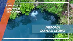 Menikmati Pesona Danau Moko dan Aktivitas Seru di Wakatobi, Sulawesi Tenggara  