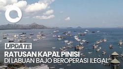 Video KPK: Ratusan Kapal Pinisi di Labuan Bajo Beroperasi Ilegal-Tak Bayar Pajak