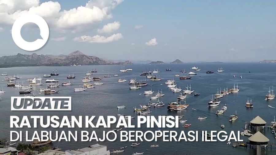 Video KPK: Ratusan Kapal Pinisi di Labuan Bajo Beroperasi Ilegal-Tak Bayar Pajak