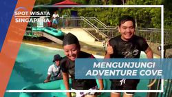 Berpetualang di Adventure Cove Water Park dan Menikmati Wahana Seru di Singapura  