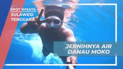 Menikmati Keindahan Bawah Air Danau Moko yang Jernih di Sulawesi Tenggara  