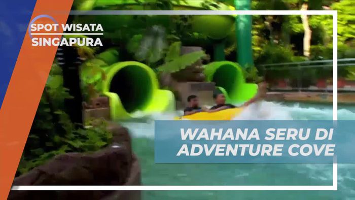 Menguji Adrenalin di Wahana Spiral Washout dan Snorkeling di Rainbow Reef, Adventure Cove, Singapura  