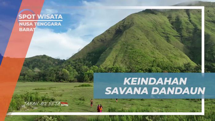 Mengagumi Keindahan Savana Dandaun yang Hijau dan Menawan di Nusa Tenggara Barat  