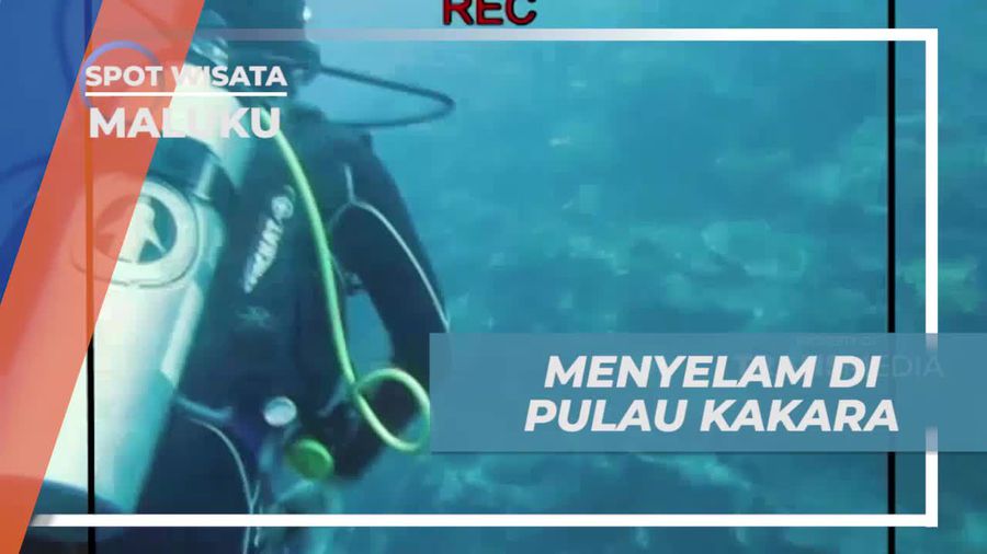 Menyelam Menikmati Keindahan Bawah Laut Pulau Kakara di Maluku  