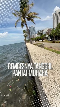 Video: Rembes Sana-sini Tanggul Pantai Mutiara Jakarta Utara