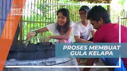 Mengolah Gula Kelapa Tradisional dari Air Kelapa dan Singkong di Pangandaran  