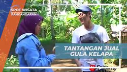 Mengikuti Tantangan Menjual Gula Kelapa dan Menambah Semangat di Pangandaran  