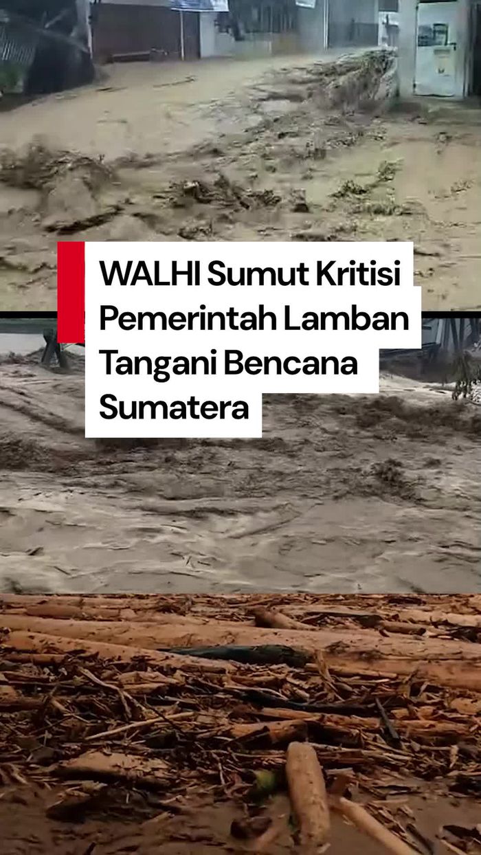 Video WALHI Sumut Sayangkan Tak Ada Status Darurat Bencana Nasional Sumatera