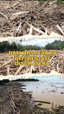 Video: Viral Banyak Kayu Terbawa Banjir, Ini Data Deforestasi Sumatera