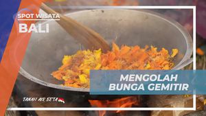 Mengolah Bunga Gimitir Jadi Teh Tradisional di Bali  