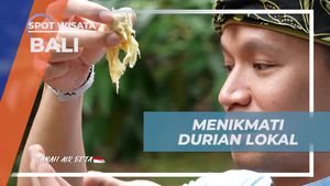 Menikmati Durian Lokal yang Segar dan Manis di Bali  