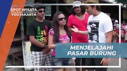 Menjelajahi Pasar Burung Ngasem dan Mengambil Foto dengan Biawak di Yogyakarta  