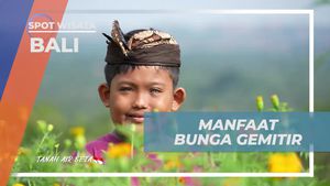 Mengetahui Manfaat Bunga Gimitir sebagai Tanaman Hias dan dalam Upacara di Bali  
