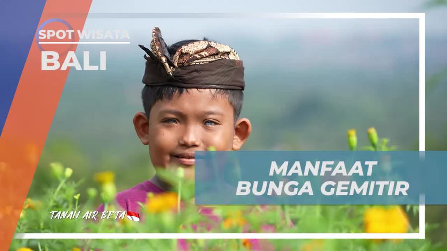 Mengetahui Manfaat Bunga Gimitir sebagai Tanaman Hias dan dalam Upacara di Bali  