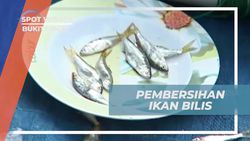 Membersihkan Ikan Bilis Bersama Para Pria dan Wanita di Pinggiran Danau Singkarak Bukittinggi  