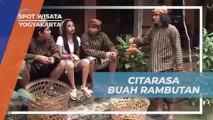 Menikmati Rasa Manis Rambutan Sambil Mengamati Kejadian Unik di Yogyakarta  