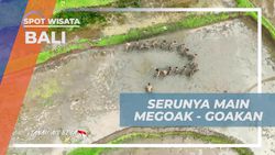 Menikmati Keseruan Bermain Megoak-Goakan di Bali  