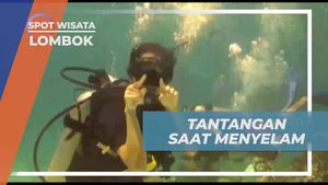Menghadapi Tantangan Menyelam dan Menemukan Bendera di Dasar Laut Lombok  