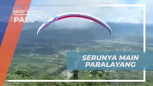 Menikmati Keindahan Paralayang Terbaik di Asia dan Melakukan Penerbangan di Palu  