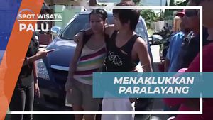 Menaklukkan Paralayang dan Mendapatkan Ring Pilot sebagai Tanda Sukses di Palu  