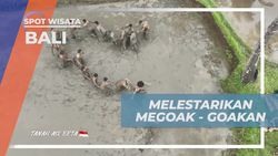 Melestarikan Permainan Tradisional Megoak-Goakan di Bali  