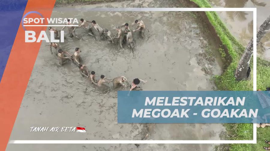 Melestarikan Permainan Tradisional Megoak-Goakan di Bali  