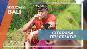 Menikmati Citarasa Teh Gimitir dalam Suasana Relaksasi di Bali  