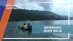 Berburu Ikan Bilis di Danau Singkarak untuk Menikmati Hasil Tangkapan di Bukittinggi  