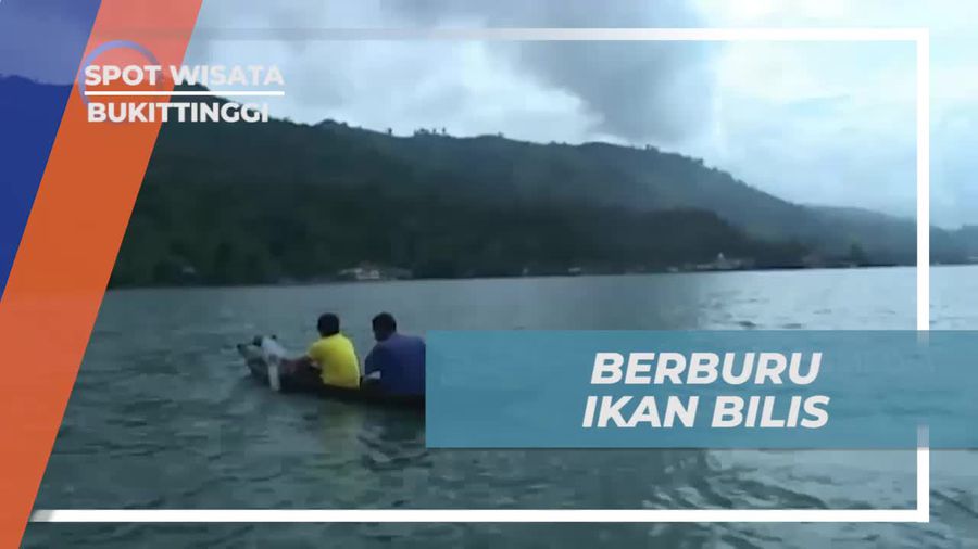 Berburu Ikan Bilis di Danau Singkarak untuk Menikmati Hasil Tangkapan di Bukittinggi  
