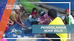 Mengolah Ikan Bilis dengan Membersihkan Isi Perut untuk Dikonsumsi di Bukittinggi  