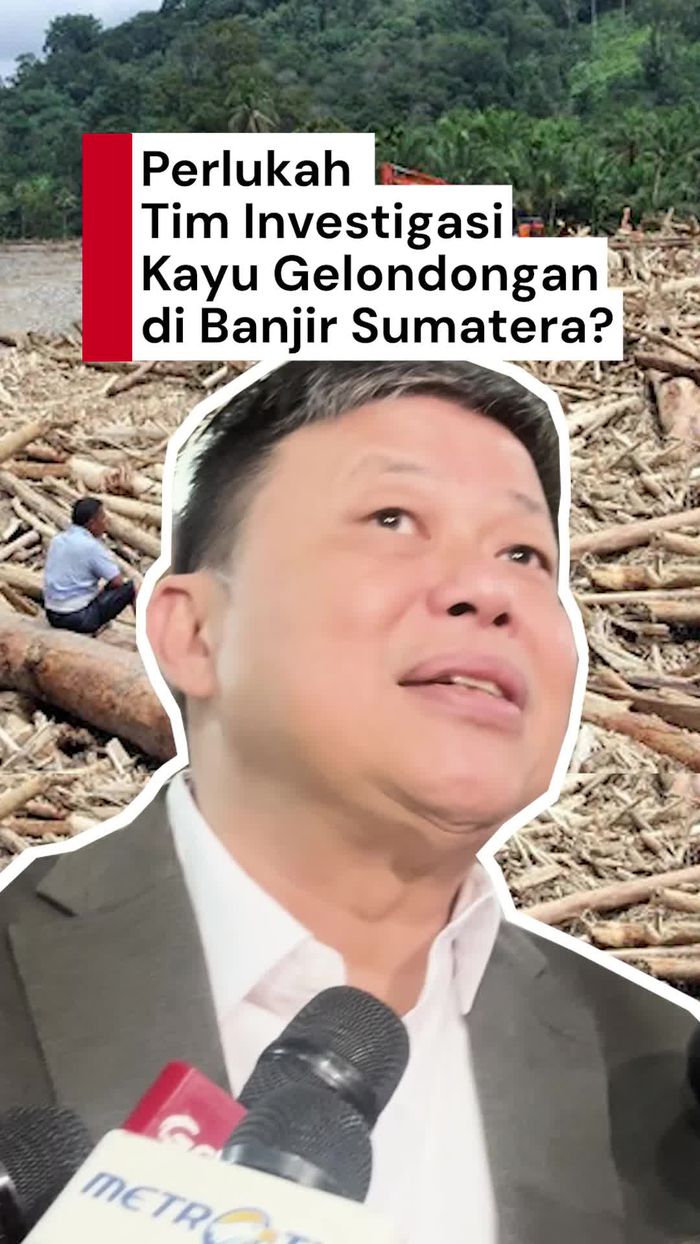 Video: Komisi IV soal Tim Investigasi Kayu Gelondongan di Banjir Sumatera