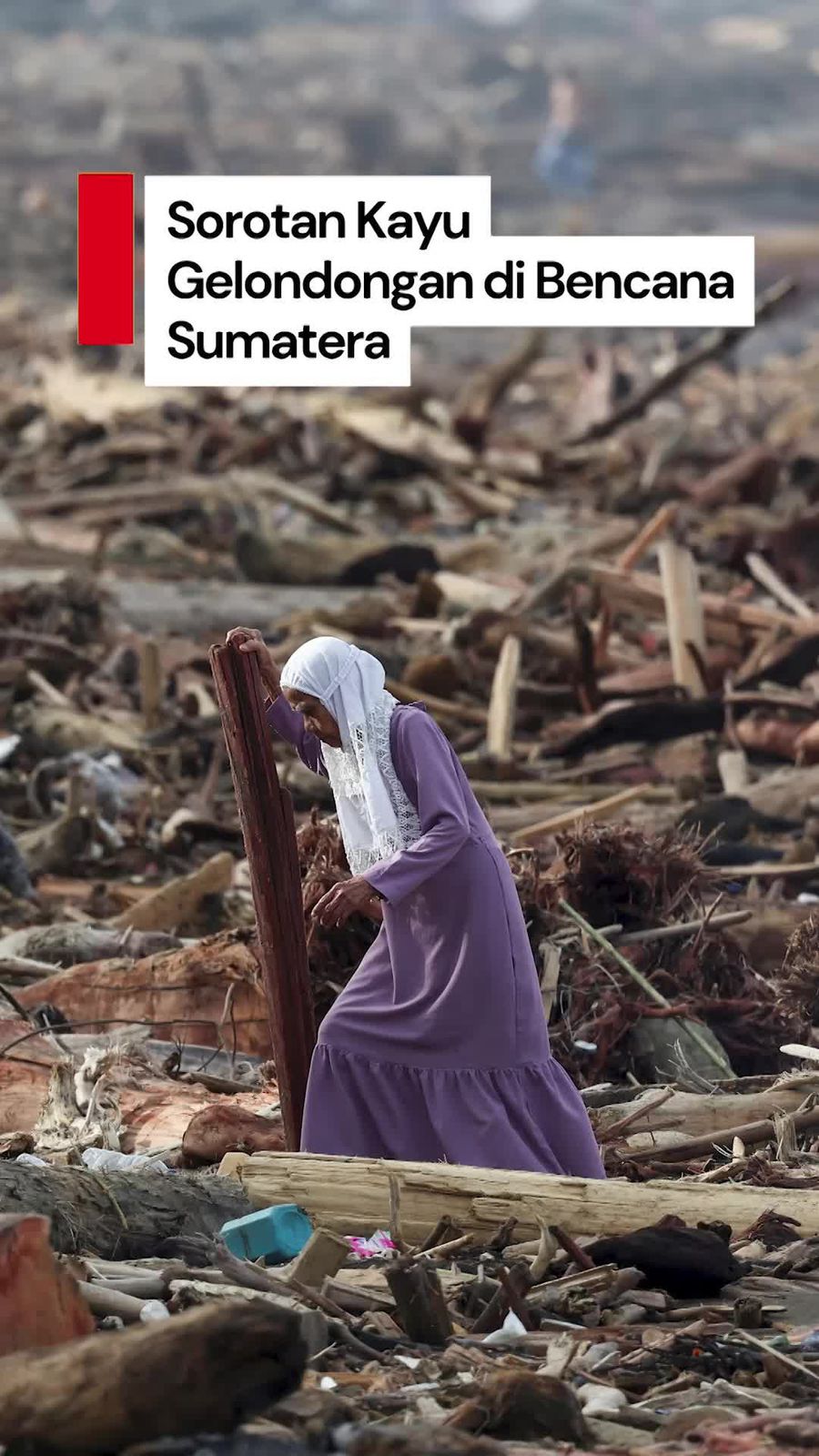 Video: Soal Kayu Gelondongan di Bencana Sumatera, DPR Panggil Menhut Kamis Besok