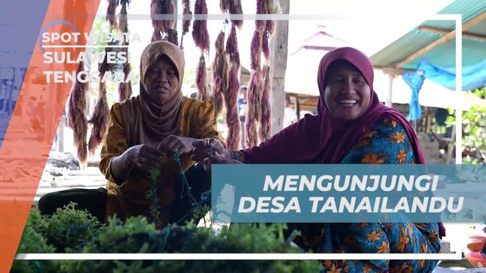 Menjelajah Keindahan Desa Tanailandu, Sulawesi Tenggara  