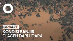 Video: Penampakan Kondisi Banjir-Longsor di Aceh dari Satelit